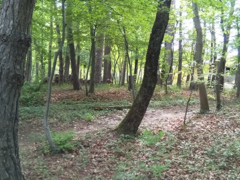 Emplacement - Salamandre : bien délimité, avec électricité, proche Bloc Sanitaire
