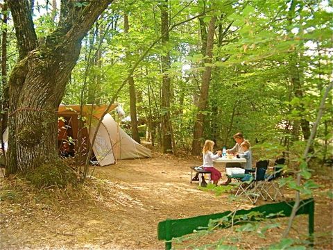Emplacement - Lierre : sans électricité, simple, en sous-bois