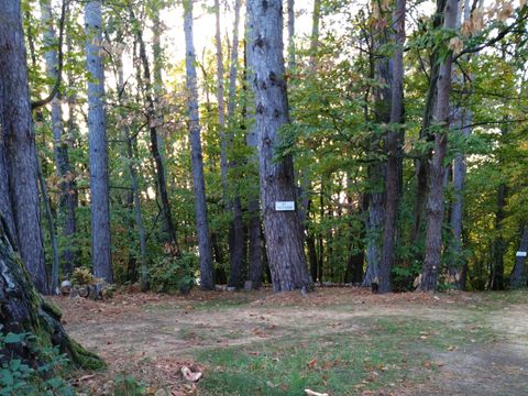 Camping L'Ermitage du Grand Bois - Camping Drome - Image N°13