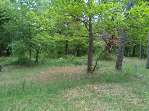 Camping L'Ermitage du Grand Bois - Camping Drome - Image N°22