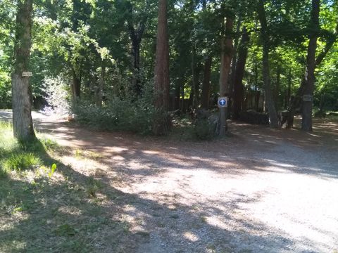 Camping L'Ermitage du Grand Bois - Camping Drome - Image N°24