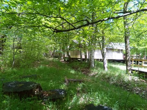 Camping L'Ermitage du Grand Bois - Camping Drome - Image N°21