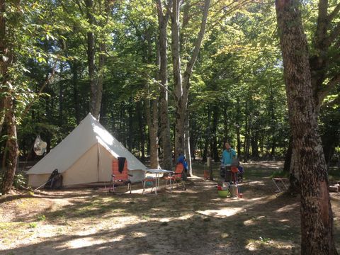 Camping L'Ermitage du Grand Bois - Camping Drome - Image N°3