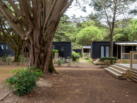 MOBILHOME 6 personnes - Premium 34m² (3 chambres - 6 pers.) + terrasse couverte + TV + draps et serviettes inclus