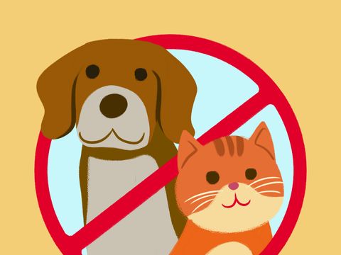 MOBILHOME 4 personnes - Mobil-home Premium 2 chambres