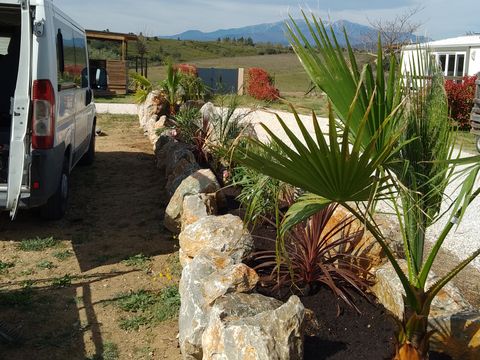 Camping Mas Llinas  Camping Mas Llinas  - Camping Pyrénées-Orientales - Image N°49