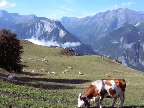 Le Château de Rochetaillee - Camping Isère - Image N°54