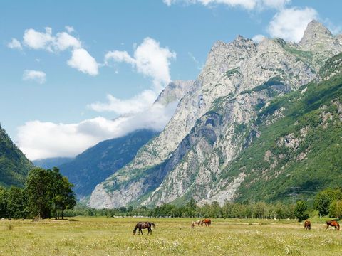 Le Château de Rochetaillee - Camping Isère - Image N°45