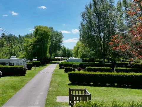 Flower Camping L'Ile Des Trois Rois - Camping Eure - Image N°14