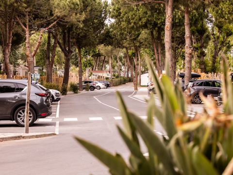 Pirates World Village-club Les Sables d'Or - Camping Hérault - Image N°84