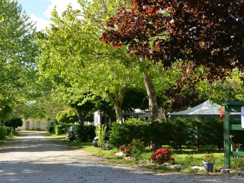 Camping l'Eau Vive - Camping Gironde - Image N°12