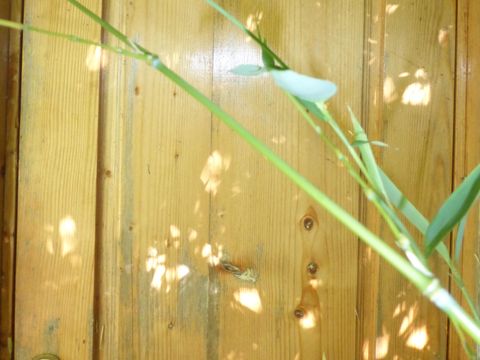 CHALET 2 personnes - JEUX