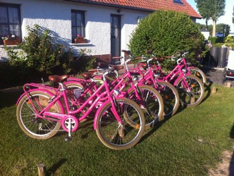 Camping Le Ridin - Camping Somme - Image N°13