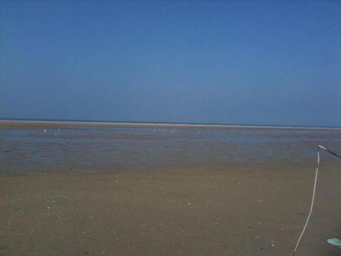 Camping Le Ridin - Camping Somme - Image N°74