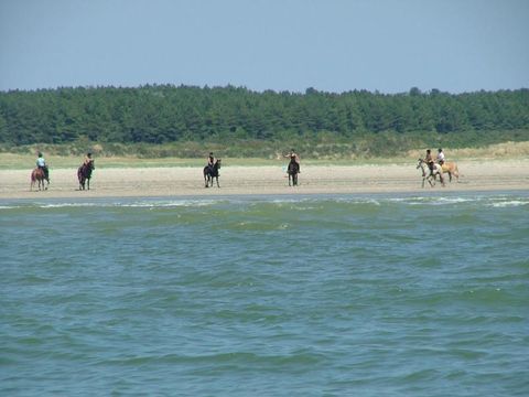 Camping Le Ridin - Camping Somme - Image N°70