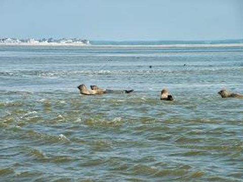 Camping Le Ridin - Camping Somme - Image N°30