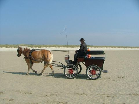 Camping Le Ridin - Camping Somme - Image N°68