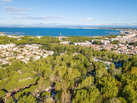 Camping Abri de Camargue - Camping Gard - Image N°37