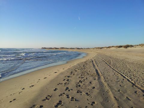 Camping Abri de Camargue - Camping Gard - Image N°42