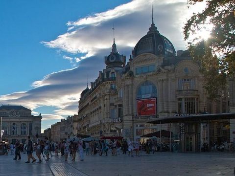 Camping Abri de Camargue - Camping Gard - Image N°73