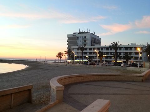 Camping Abri de Camargue - Camping Gard - Image N°92