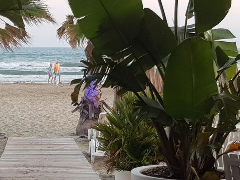 Camping Abri de Camargue - Camping Gard - Image N°91