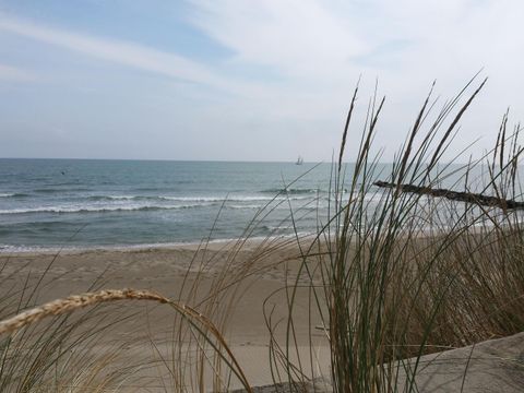 Camping Abri de Camargue - Camping Gard - Image N°53