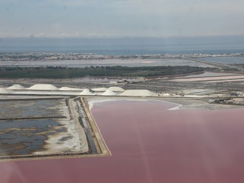 Camping Abri de Camargue - Camping Gard - Image N°88