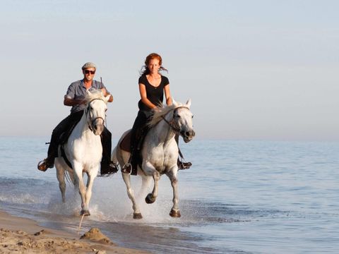 Camping Abri de Camargue - Camping Gard - Image N°84