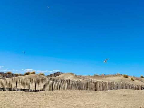 Camping Abri de Camargue - Camping Gard - Image N°99