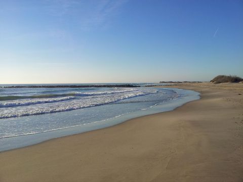 Camping Abri de Camargue - Camping Gard - Image N°55