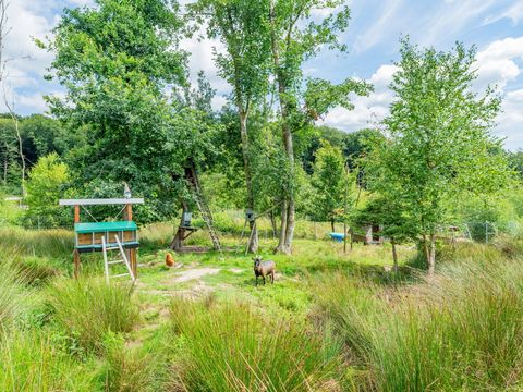 Camping Le Lac des Vieilles Forges - Camping Ardennes - Image N°15