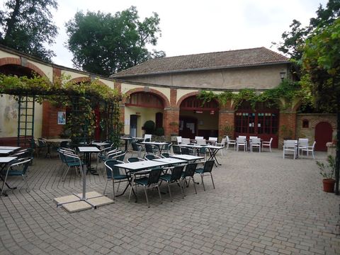 Camping Château la Grange Fort  - Camping Puy-de-Dôme - Image N°12