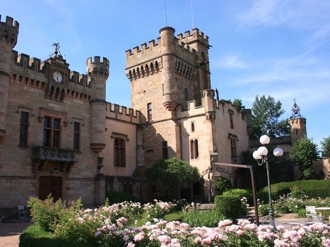 Camping Château la Grange Fort  - Camping Puy-de-Dôme - Image N°20