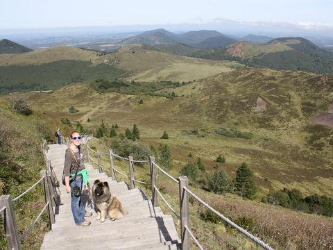 Camping Château la Grange Fort  - Camping Puy-de-Dôme - Image N°17