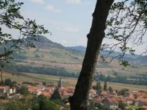 Camping Château la Grange Fort  - Camping Puy-de-Dôme - Image N°43