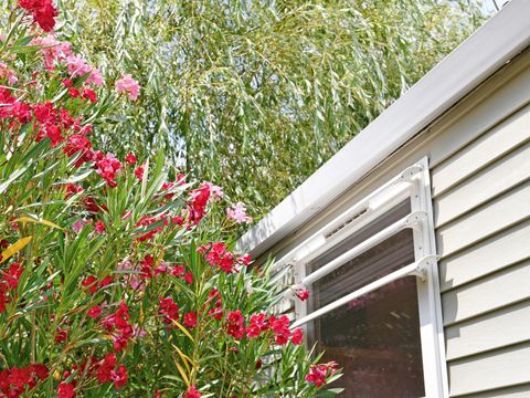 MOBILHOME 4 personnes - SAFARI Climatisé CLASSIC