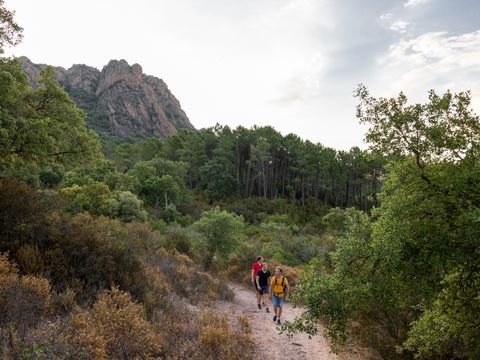 Camping RCN Domaine de la Noguière Camping RCN Domaine de la Noguière - Camping Var - Image N°11