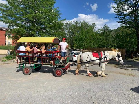 Camping Castanhada - Camping Ardèche - Image N°2