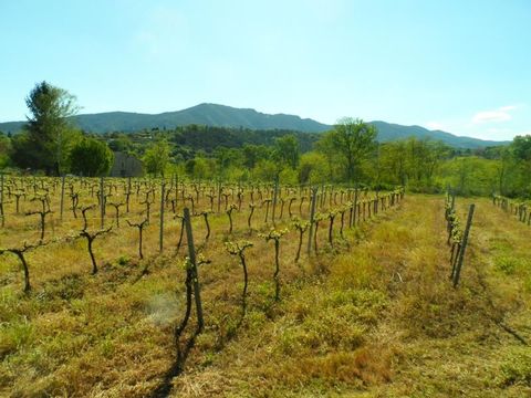 Camping Castanhada - Camping Ardèche - Image N°58