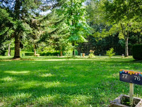 Emplacement - Forfait Confort - 1 tente - Caravane ou camping-car / - 1 voiture - / électricité - 1/2 pers