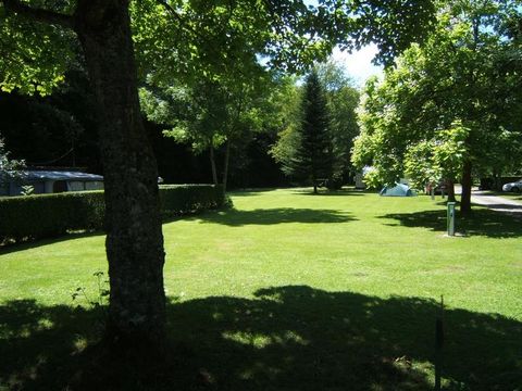 Emplacement - Forfait Privilège - superficie > 150 m² (1 tente, caravane ou camping-car / 1 voiture / électricité)