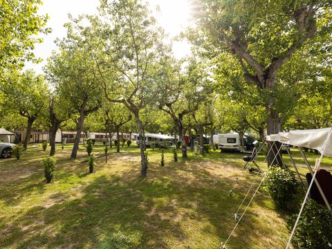 Camping Classe - Camping Ravenne - Image N°65