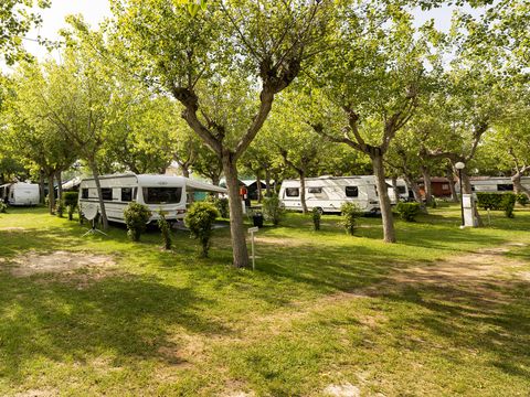 Camping Classe - Camping Ravenne - Image N°67