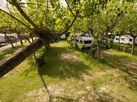 Camping Classe - Camping Ravenne - Image N°66