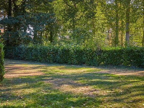 Emplacement - Emplacement | Comfort | Tente | Véhicule -7m | <100m² | Electricité | Pas d'eau