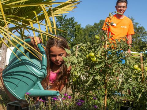 Camping Le Mas  - Camping Dordogne - Image N°15