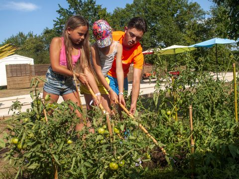 Camping Le Mas  - Camping Dordogne - Image N°16