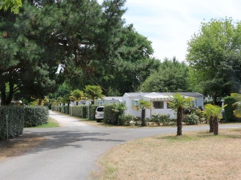 Camping Les 3 Coups - Camping Charente-Maritime - Image N°3