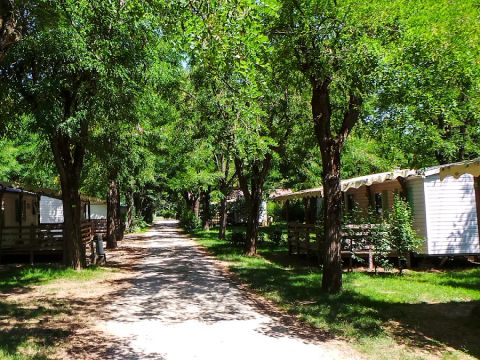 Camping Les Foulons - Camping Drome - Image N°28